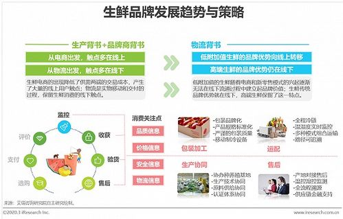 2020年中国生鲜农产品供应链研究报告 生鲜电商加快流通体系优化进程