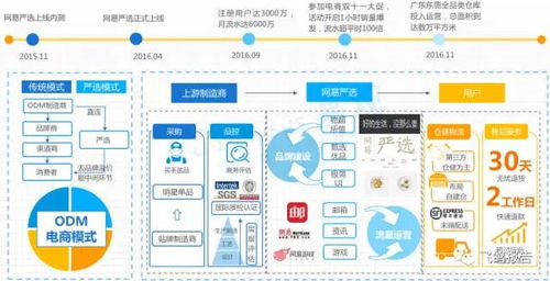 中国网上零售B2C市场年度综合分析